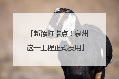 新添打卡点！泉州这一工程正式投用