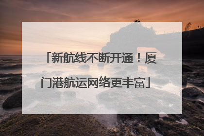 新航线不断开通！厦门港航运网络更丰富