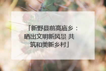 新野县前高庙乡：晒出文明新风景 共筑和美新乡村