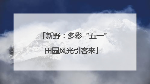 新野：多彩“五一” 田园风光引客来