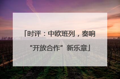 时评：中欧班列，奏响“开放合作”新乐章