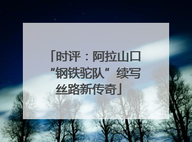 时评：阿拉山口“钢铁驼队”续写丝路新传奇