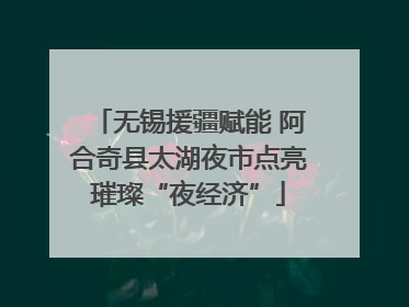 无锡援疆赋能 阿合奇县太湖夜市点亮璀璨“夜经济”