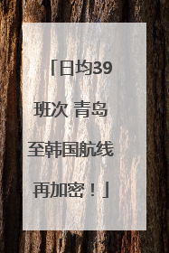 日均39班次 青岛至韩国航线再加密！