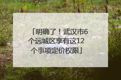 明确了！武汉市6个远城区享有这12个事项定价权限