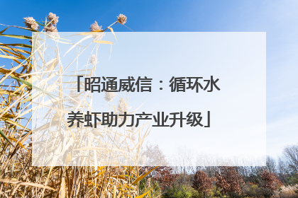 昭通威信：循环水养虾助力产业升级