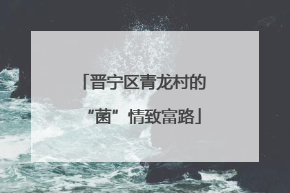 晋宁区青龙村的“菌”情致富路