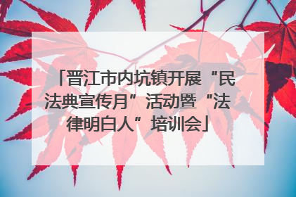 晋江市内坑镇开展“民法典宣传月”活动暨“法律明白人”培训会