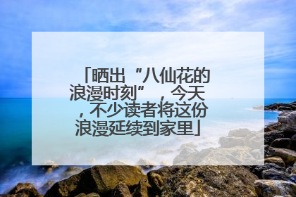 晒出“八仙花的浪漫时刻”，今天，不少读者将这份浪漫延续到家里