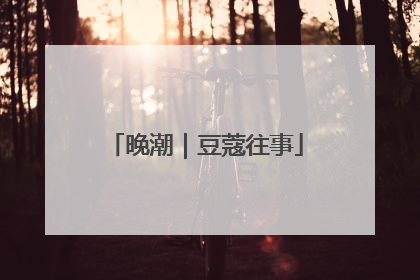 晚潮｜豆蔻往事