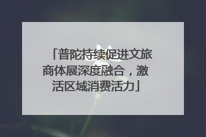 普陀持续促进文旅商体展深度融合，激活区域消费活力