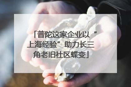 普陀这家企业以“上海经验”助力长三角老旧社区蝶变