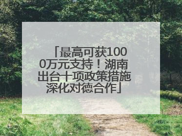 最高可获1000万元支持！湖南出台十项政策措施深化对德合作