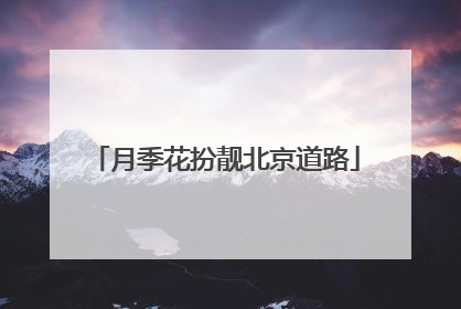 月季花扮靓北京道路