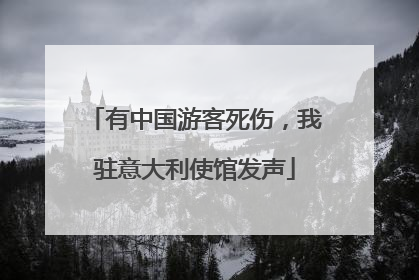 有中国游客死伤，我驻意大利使馆发声