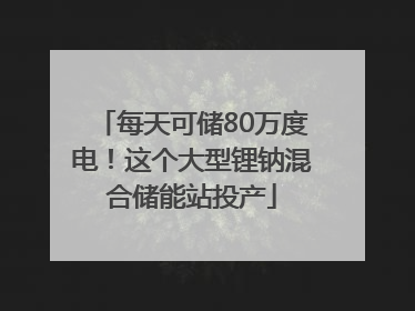 每天可储80万度电！这个大型锂钠混合储能站投产