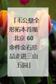 毛公鼎全形拓本首现北京 60余件金石珍品走进三山五园