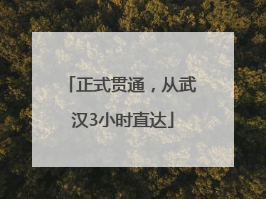 正式贯通，从武汉3小时直达