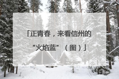 正青春，来看信州的“火焰蓝”（图）