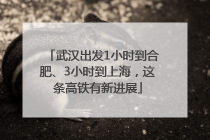 武汉出发1小时到合肥、3小时到上海，这条高铁有新进展