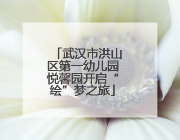 武汉市洪山区第一幼儿园悦馨园开启“绘”梦之旅