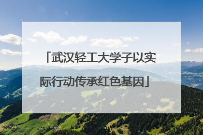 武汉轻工大学子以实际行动传承红色基因
