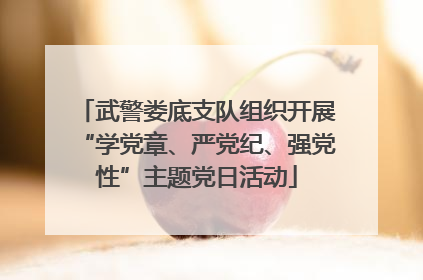 武警娄底支队组织开展“学党章、严党纪、强党性”主题党日活动
