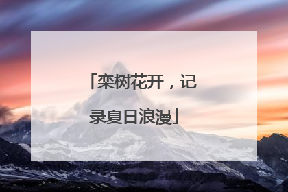 栾树花开，记录夏日浪漫