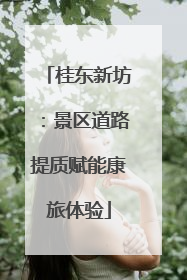 桂东新坊：景区道路提质赋能康旅体验
