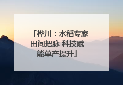 桦川：水稻专家田间把脉 科技赋能单产提升