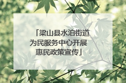 梁山县水泊街道为民服务中心开展惠民政策宣传