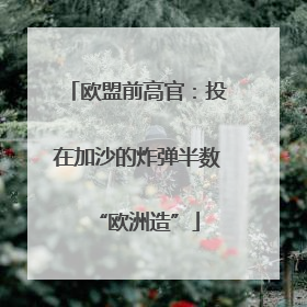 欧盟前高官：投在加沙的炸弹半数“欧洲造”