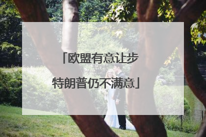 欧盟有意让步 特朗普仍不满意