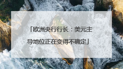 欧洲央行行长：美元主导地位正在变得不确定
