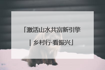 激活山水共富新引擎｜乡村行·看振兴
