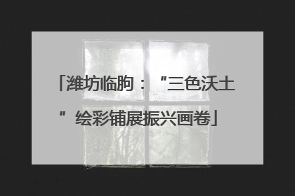 潍坊临朐：“三色沃土”绘彩铺展振兴画卷