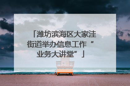 潍坊滨海区大家洼街道举办信息工作“业务大讲堂”