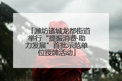 潍坊诸城龙都街道举行“提振消费·助力发展”首批示范单位授牌活动