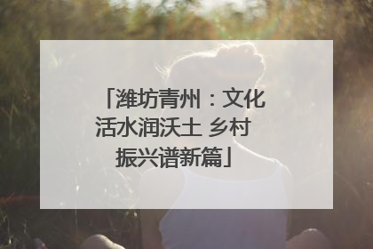 潍坊青州：文化活水润沃土 乡村振兴谱新篇