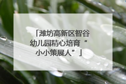 潍坊高新区智谷幼儿园精心培育“小小策展人”
