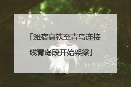 潍宿高铁至青岛连接线青岛段开始架梁