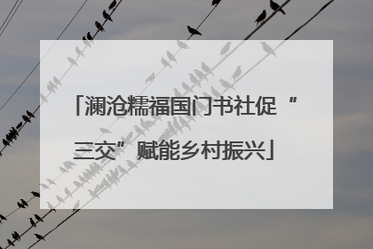 澜沧糯福国门书社促“三交”赋能乡村振兴