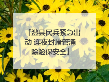 澧县民兵紧急出动 连夜封堵管涌除险保安全