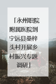 永州职院附属医院到宁远县桑梓头村开展乡村振兴专题调研