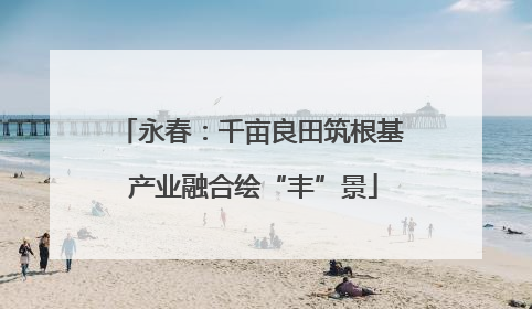 永春：千亩良田筑根基 产业融合绘“丰”景