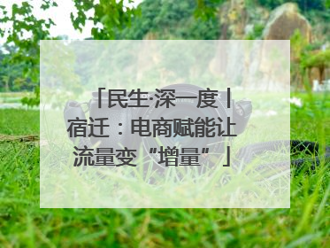 民生·深一度丨宿迁：电商赋能让流量变“增量”