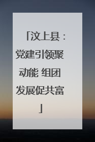 汶上县：党建引领聚动能 组团发展促共富
