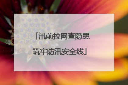 汛前拉网查隐患 筑牢防汛安全线