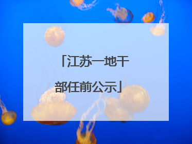 江苏一地干部任前公示