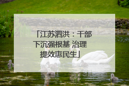 江苏泗洪：干部下沉强根基 治理提效惠民生